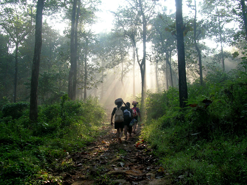 Sabarimala - Ayyappa Temple Pilgrimage
