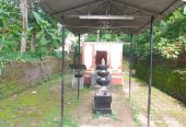 Sree Palakkottu temple